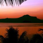 Nature Background 14 Free Stock Photo - Public Domain Pictures