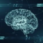 Image - Free stock photo - Public Domain photo - CC0 Images