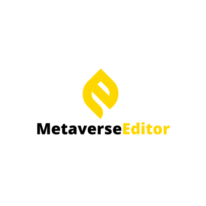 Defining The Metaverse - Unsyndicated by Mason Nystrom